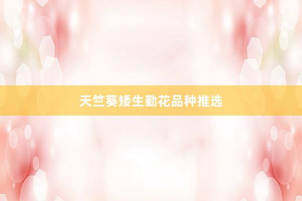 天竺葵矮生勤花品种推选