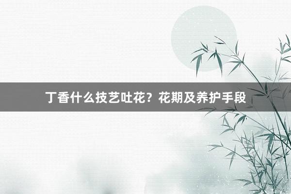 丁香什么技艺吐花？花期及养护手段