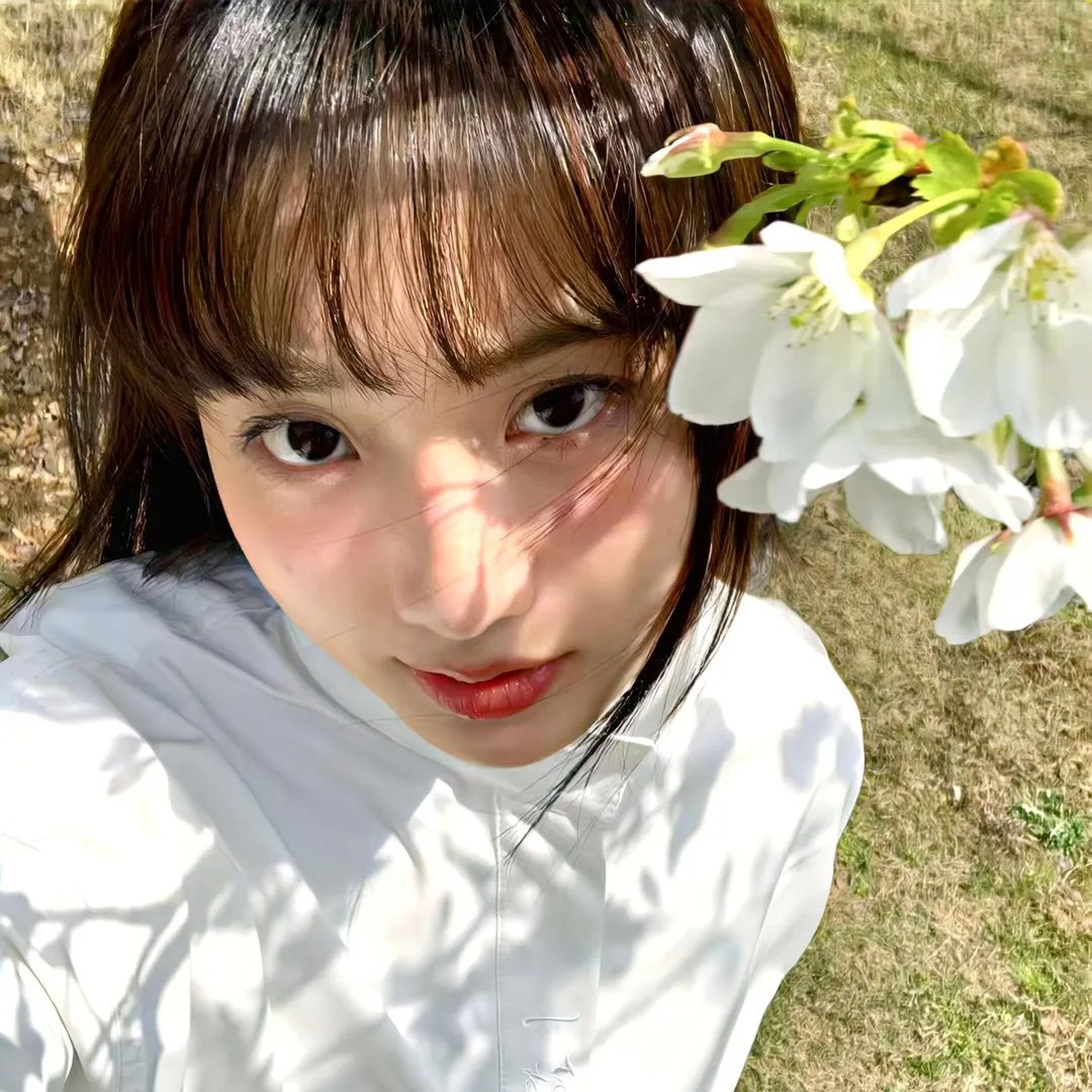冲破樊笼走彩凤